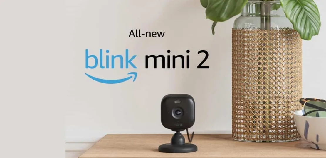 Blink-Mini-2-jpg.webp.webp