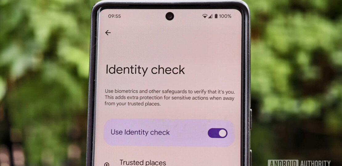Identity-Check-on-a-Pixel-phone.jpg
