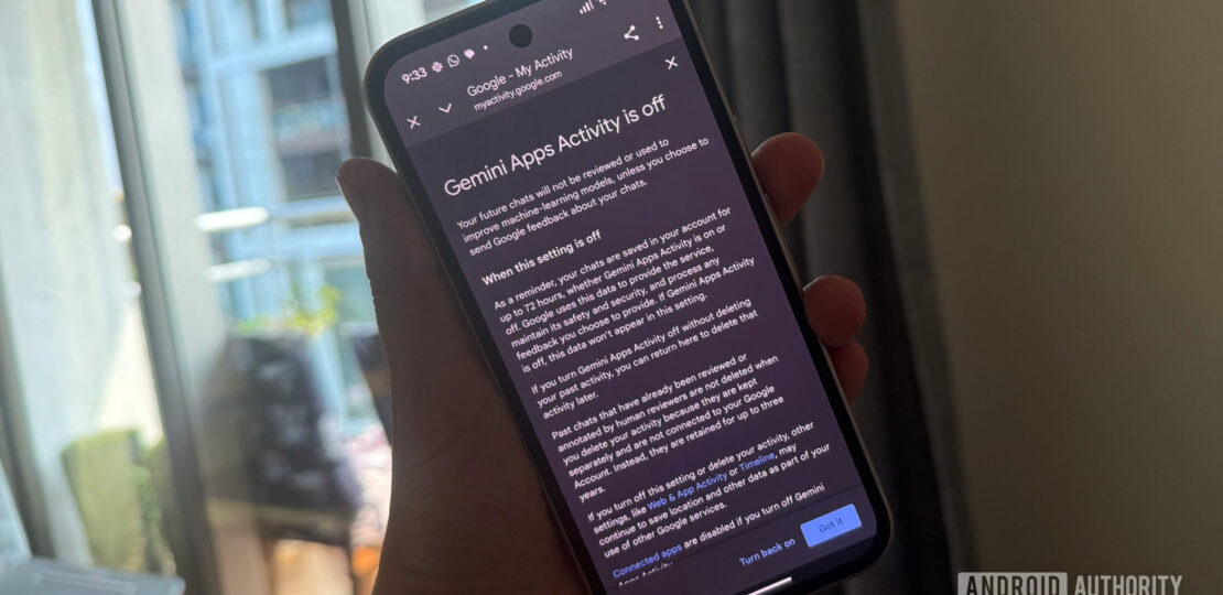 Gemini-App-Activity-Screen-On-Pixel-9a-scaled.jpg
