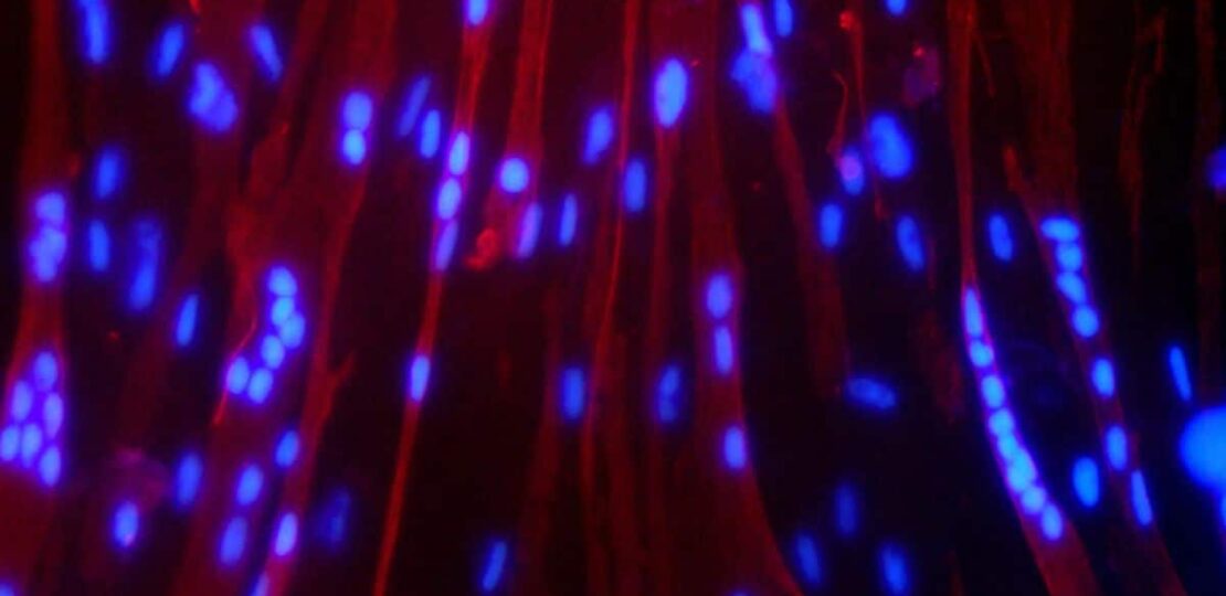SCI_5_-_F_1749200834921.jpg