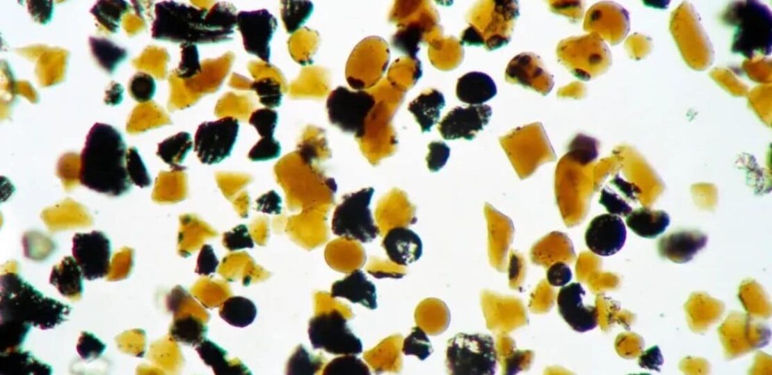 SCI__4_full_1750156704054.jpg