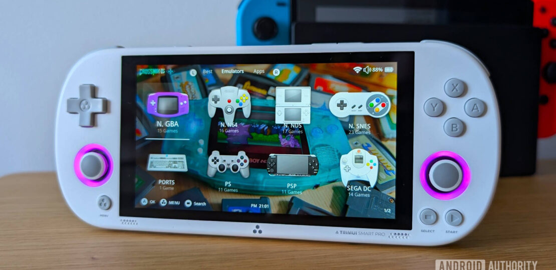 TrimUI-Smart-Pro-in-front-of-Nintendo-Switch.jpg