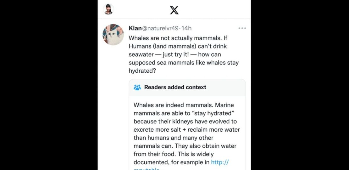 community_notes_x_1751436581421.jpg