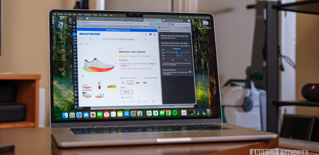Google-Chrome-shopping-insights-full-pricing-history.jpg